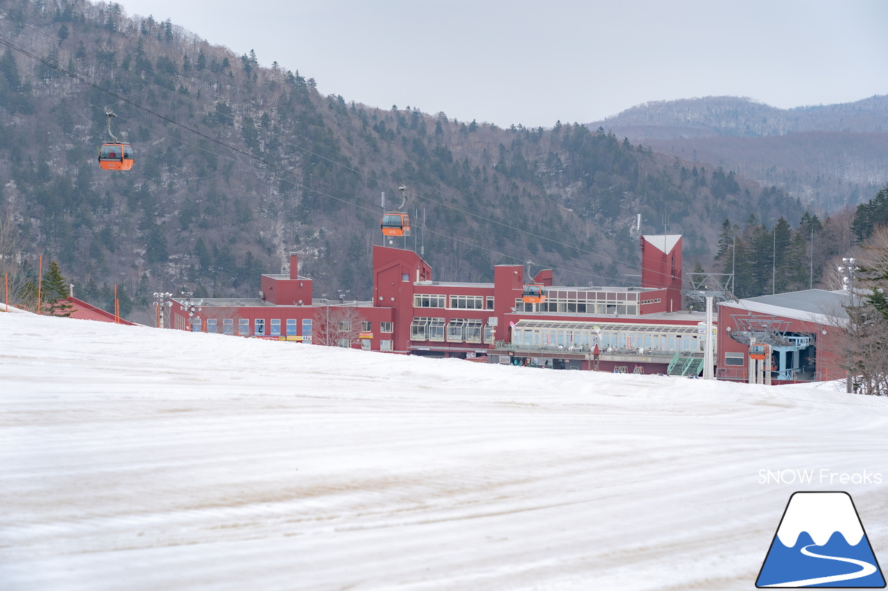 札幌国際スキー場｜2023・ゴールデンウィークがスタート！心配された雪ですが…。大丈夫、ちゃんと残ってくれました(^_-)-☆